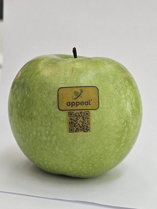 00 APPEAL etichetta applicata copia